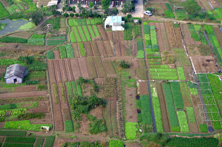 Vegetable panoramicのeditorial素材