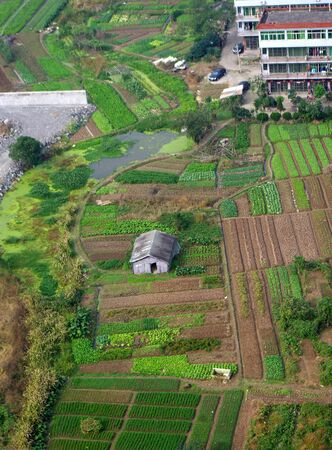 Vegetable panoramicのeditorial素材