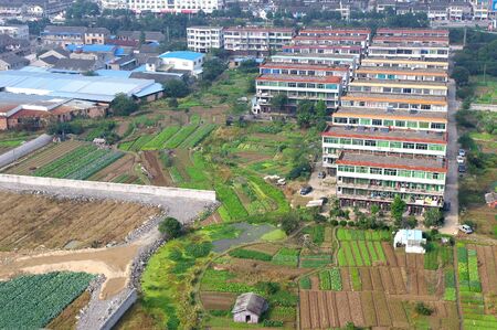 Vegetable panoramicのeditorial素材