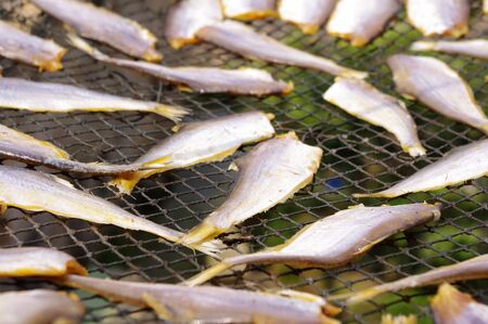 Proofing and dry fish in Chinaの写真素材