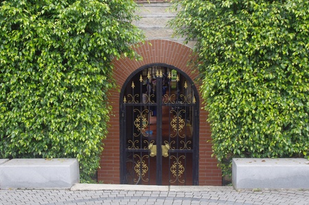 Wall and door with ivy leavesのeditorial素材