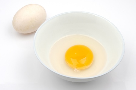 Duck s eggの写真素材