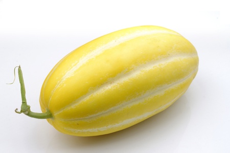 Melonの写真素材