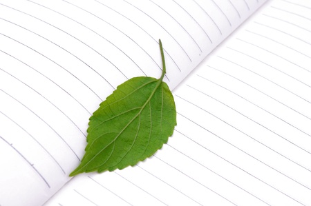 Leaves and booksの写真素材