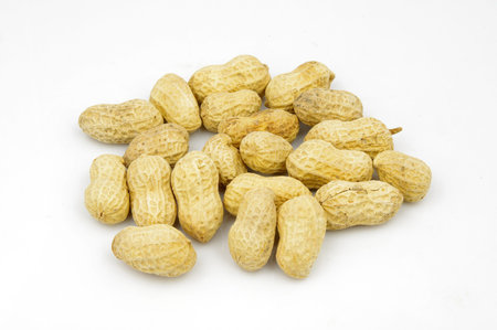 Peanut