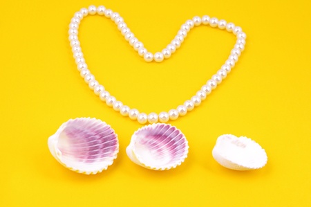 Shells pearlsの写真素材