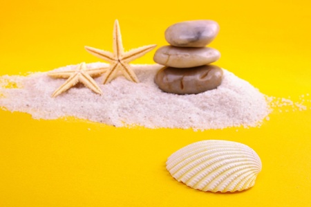 Starfish and stoneの写真素材