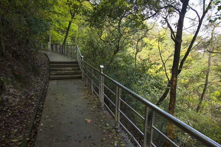 Mountain Corridor
