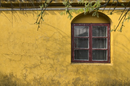 Quiet windows in the templeの写真素材