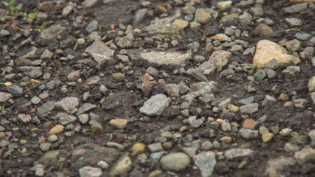 stones background, background of preparation of works for a paving, stones near the road, exactly lined stone and gravel before construction, a basis for constructionの写真素材