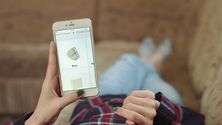 Woman at Home Lying on Couch in Living Room Using Smartphone Buys in Internet Shop. Woman Orders...