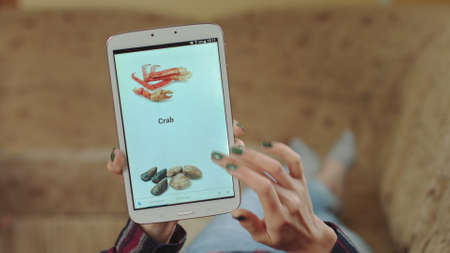 Woman at Home Lying on Couch in Living Room Using Smartphone Buys in Internet Shop. Woman Orders Seafood Home In An Online Store Using a Smartphone. Female Selects Seafood in Grocery Online Store. POVの写真素材