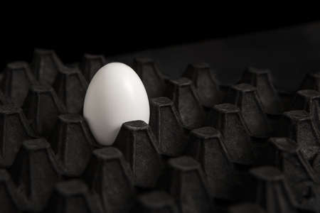 One white egg in a black carton tray on a stone table with black backgroundの写真素材