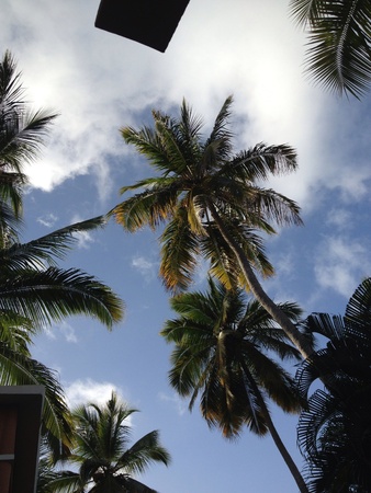 Sky view on a resort in Punta Canaの素材