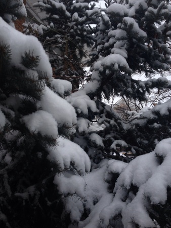 Winter in Canadaの素材