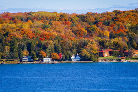 Fall Landscape