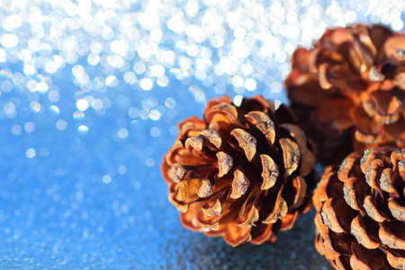 Christmas decoration with pineconesの写真素材