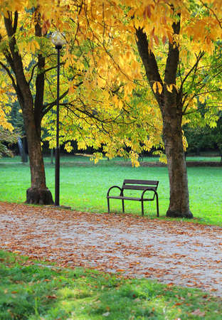 view on a bench in an autumn gardenの写真素材