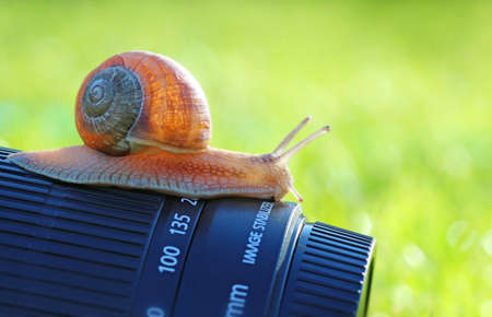 Detail of slug on the camera lensの写真素材