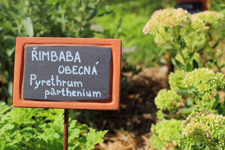 Herbal garden with herb tablesの写真素材