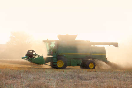 The harvester collects the wheat harvest in the field of dustの写真素材