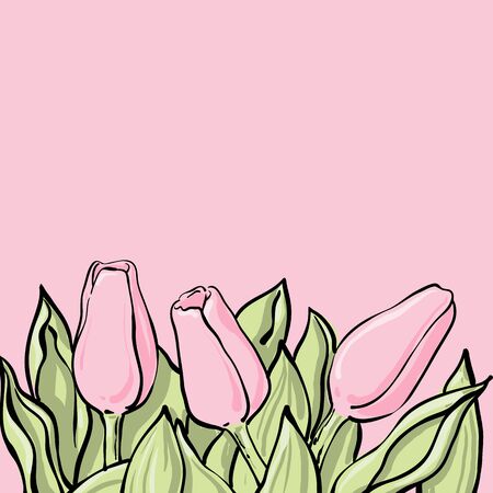 Romantic vector tulip composition, Pink flowers on light pink background. Beautiful template for your design or advertise.のイラスト素材