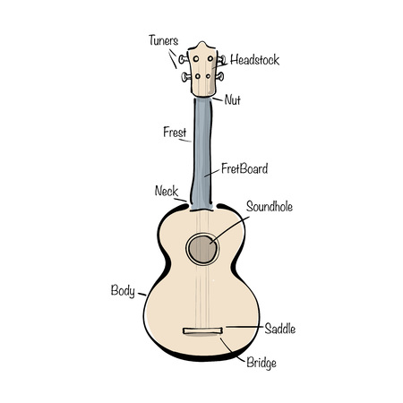 Infographic with hand drawn ukulele. Vector illustration.のイラスト素材