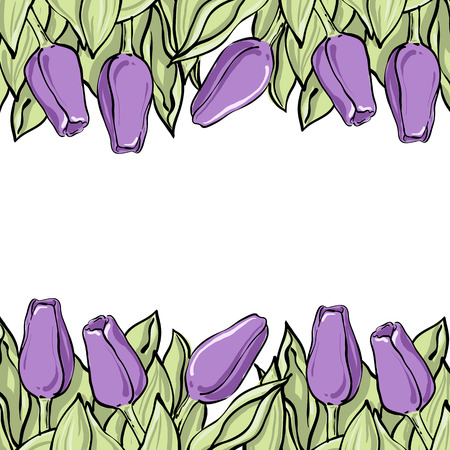 Romantic tulip composition, Lilac flowers on neutral white background. Beautiful template for your design or advertise.のイラスト素材