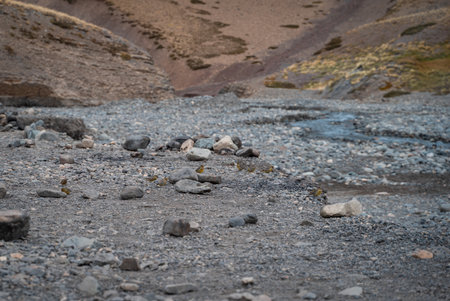 Flock of greater yellow finch birds perched on rocks beside a river in the Cajon del Maipo, Chile.の写真素材