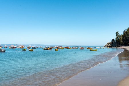 Horizontal shot of colorful boats in Caleta Tumbes at the side of the seashore with waves, Chile