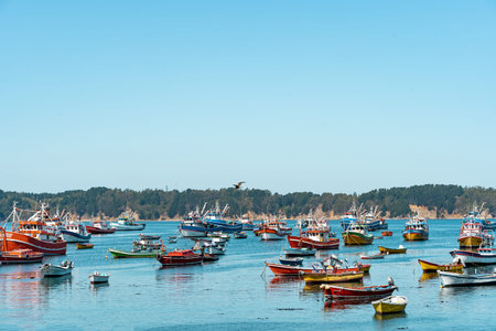 Colorful shot of ships and boats in Caleta Tumbes, Chileの写真素材