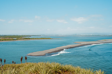South side of the mouth of the bio bio river connecting with the pacific ocean with puya chilensis and vegetation.の写真素材