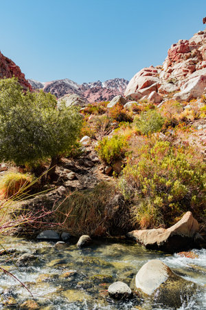 Vertical shot of rocky valley with vegetation, river and snow-capped mountains in background, Chileの写真素材