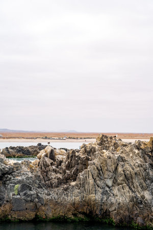 Vertical view of seagulls perched on a coastal rock with the desert in the background on a cloudy...
