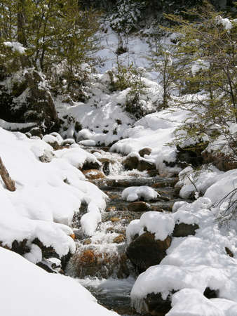 Birth of waterの写真素材