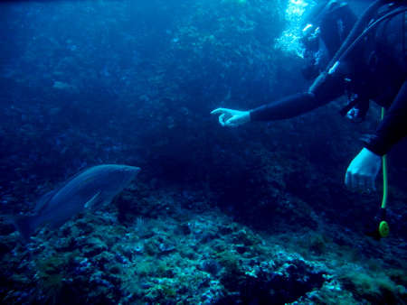 come closerの写真素材