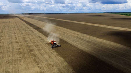 Brazilian agriculture scenario.の写真素材