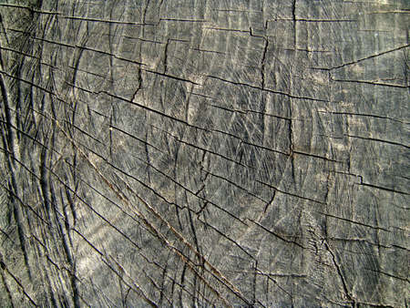 texture of old woodの写真素材