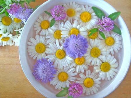 Colorful flowers in a bowlの写真素材