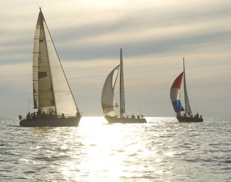 sailboats rounding a mark in a sunset race