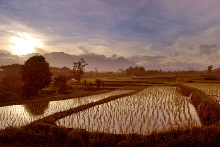 Malang town evening view in the west side.の写真素材