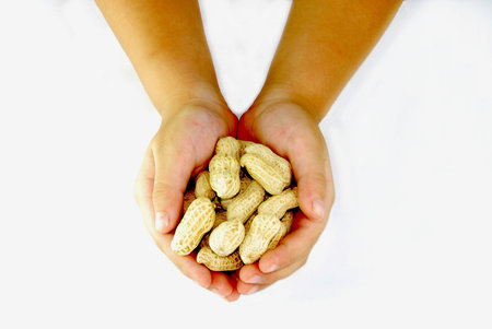 Handful of peanuts with white backgroundの写真素材