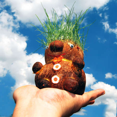 Doll with grass hairs on handの写真素材