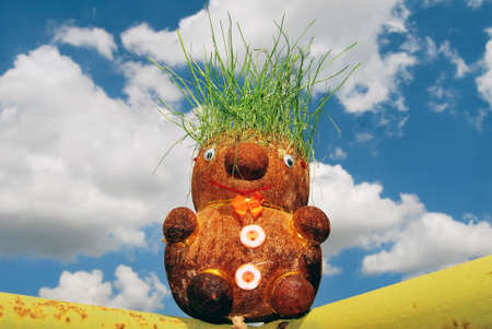 Doll with grass hairs on bluesky and clouds backgroundの写真素材