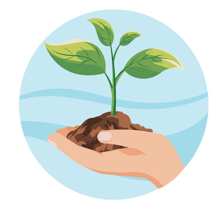Vector illustration of hand holding green sprout. Symbolizing care, growth and nurturing in agriculture. Gardening, Ecology concepts.のイラスト素材