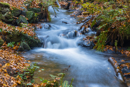 River with Moss and Stone