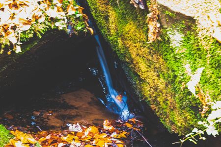 River with Moss and Stoneの写真素材