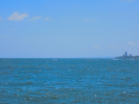 The coast with buildings of the city in the distance.