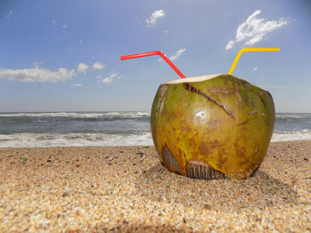 Coconut water on the beach, partially buried in the sand.の写真素材