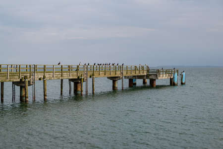 an old jetty in the baltic sea with sea birds on itの写真素材